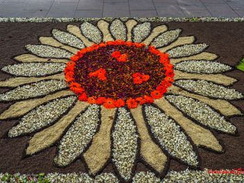 Фотоотчёт: Ковры из натуральных цветов в городе Арбусиес, 2021 / Catifes de flors naturals a Arbúcies, 2021 (Alfombras de flores naturales en Arbúcies, 2022)