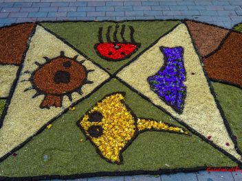 Фотоотчёт: Ковры из натуральных цветов в городе Арбусиес, 2021 / Catifes de flors naturals a Arbúcies, 2021 (Alfombras de flores naturales en Arbúcies, 2022)