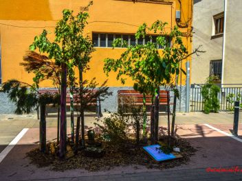 Фотоотчёт: Ковры из натуральных цветов в городе Арбусиес, 2021 / Catifes de flors naturals a Arbúcies, 2021 (Alfombras de flores naturales en Arbúcies, 2022)
