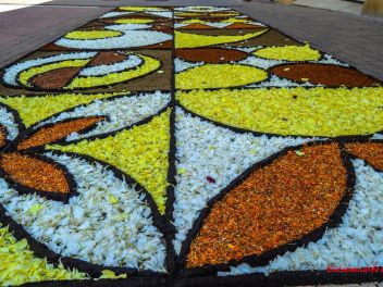 Фотоотчёт: Ковры из натуральных цветов в городе Арбусиес, 2021 / Catifes de flors naturals a Arbúcies, 2021 (Alfombras de flores naturales en Arbúcies, 2022)