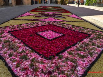 Фотоотчёт: Ковры из натуральных цветов в городе Арбусиес, 2021 / Catifes de flors naturals a Arbúcies, 2021 (Alfombras de flores naturales en Arbúcies, 2022)
