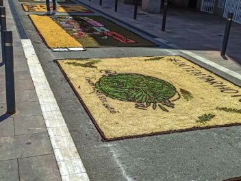 Фотоотчёт: Ковры из натуральных цветов в городе Арбусиес, 2021 / Catifes de flors naturals a Arbúcies, 2021 (Alfombras de flores naturales en Arbúcies, 2022)