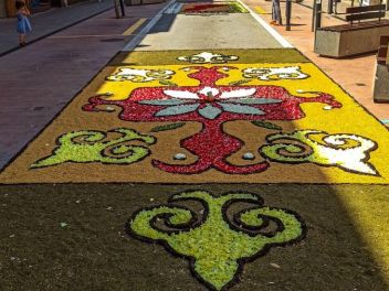 Фотоотчёт: Ковры из натуральных цветов в городе Арбусиес, 2021 / Catifes de flors naturals a Arbúcies, 2021 (Alfombras de flores naturales en Arbúcies, 2022)