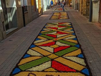 Фотоотчёт: Ковры из натуральных цветов в городе Арбусиес, 2021 / Catifes de flors naturals a Arbúcies, 2021 (Alfombras de flores naturales en Arbúcies, 2022)