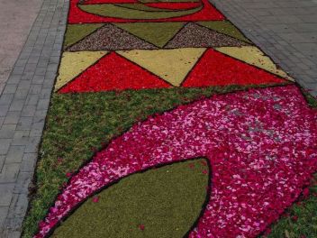 Фотоотчёт: Ковры из натуральных цветов в городе Арбусиес, 2021 / Catifes de flors naturals a Arbúcies, 2021 (Alfombras de flores naturales en Arbúcies, 2022)