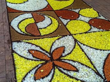Фотоотчёт: Ковры из натуральных цветов в городе Арбусиес, 2021 / Catifes de flors naturals a Arbúcies, 2021 (Alfombras de flores naturales en Arbúcies, 2022)