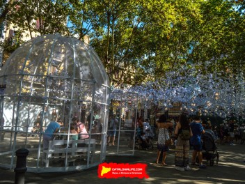 Фотоотчёт: Пласа Ровира и Триас (Plaça Rovira i Trias) Крыльями своими лететь (Alis volat propiis) - Феста Майор де Грасиа 2023 (Festa Major de Gràcia 2023)