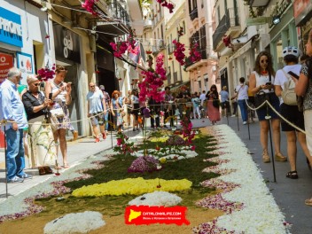 Ковры из цветов в Ситжесе, 2024 / Catifes de flors de Sitges, 2024 / Alfombras de Flores Naturales, Sitges, 2024