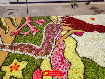Ковры из цветов в Ситжесе, 2024 / Catifes de flors de Sitges, 2024 / Alfombras de Flores Naturales, Sitges, 2024