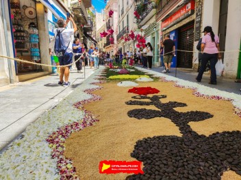 Ковры из цветов в Ситжесе, 2024 / Catifes de flors de Sitges, 2024 / Alfombras de Flores Naturales, Sitges, 2024