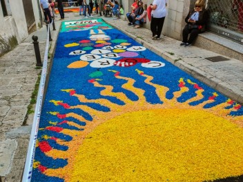 Ковры из цветов в Бланесе, 2024 / Catifes de flors de Blanes, 2024 / Alfombras de Flores Naturales, Blanes, 2024