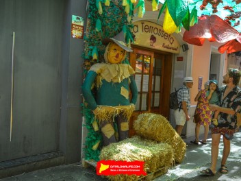 Фотоотчёт: Улица Фратернитат де Дальт (carrer Fraternitat de Dalt) Фратерния Оз (Fratern d’OZ) - Феста Майор де Грасиа 2023 (Festa Major de Gràcia 2023)