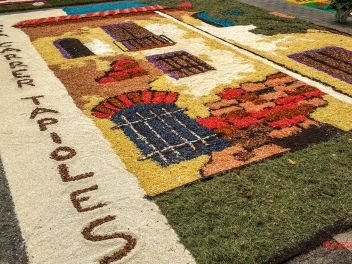 Фотоотчет: Ковры из цветов в Бланесе (Catifes de Flors de Corpus a Blanes / Las alfombras de flores del Corpus en Blanes), 2021
