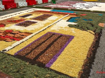 Фотоотчет: Ковры из цветов в Бланесе (Catifes de Flors de Corpus a Blanes / Las alfombras de flores del Corpus en Blanes), 2021