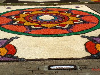Фотоотчет: Ковры из цветов в Бланесе (Catifes de Flors de Corpus a Blanes / Las alfombras de flores del Corpus en Blanes), 2021