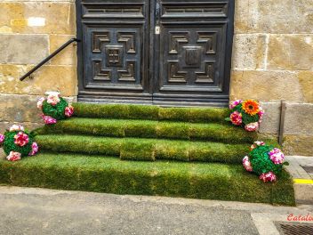 Фотоотчет: Ковры из цветов в Бланесе (Catifes de Flors de Corpus a Blanes / Las alfombras de flores del Corpus en Blanes), 2021