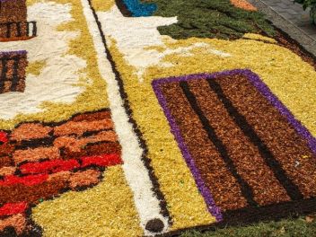 Фотоотчет: Ковры из цветов в Бланесе (Catifes de Flors de Corpus a Blanes / Las alfombras de flores del Corpus en Blanes), 2021
