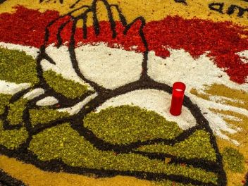 Фотоотчет: Ковры из цветов в Бланесе (Catifes de Flors de Corpus a Blanes / Las alfombras de flores del Corpus en Blanes), 2021