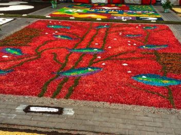 Фотоотчет: Ковры из цветов в Бланесе (Catifes de Flors de Corpus a Blanes / Las alfombras de flores del Corpus en Blanes), 2021