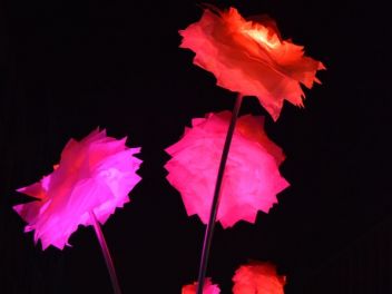 Фотоотчет: Фестиваль света в Барселоне 2019 / LLUM Bcn 2019