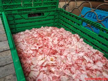 Ковры из цветов в Бланесе, 2018 (Les Catifes de Flors del Corpus a Blanes, 2018)