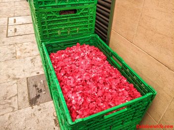 Ковры из цветов в Бланесе, 2018 (Les Catifes de Flors del Corpus a Blanes, 2018)