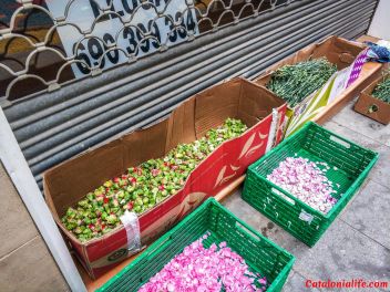 Ковры из цветов в Бланесе, 2018 (Les Catifes de Flors del Corpus a Blanes, 2018)