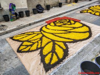 Ковры из цветов в Бланесе, 2018 (Les Catifes de Flors del Corpus a Blanes, 2018)