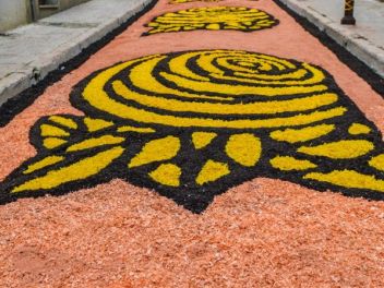 Ковры из цветов в Бланесе, 2018 (Les Catifes de Flors del Corpus a Blanes, 2018)