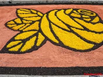 Ковры из цветов в Бланесе, 2018 (Les Catifes de Flors del Corpus a Blanes, 2018)