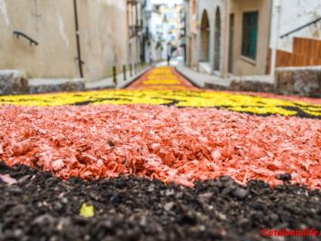 Ковры из цветов в Бланесе, 2018 (Les Catifes de Flors del Corpus a Blanes, 2018)