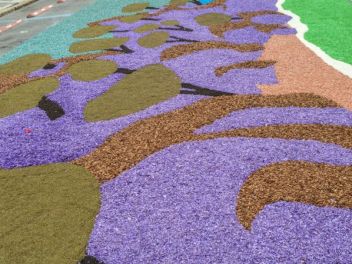 Ковры из цветов в Бланесе, 2018 (Les Catifes de Flors del Corpus a Blanes, 2018)