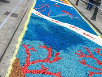 Ковры из цветов в Бланесе, 2018 (Les Catifes de Flors del Corpus a Blanes, 2018)