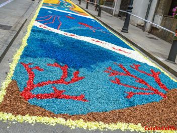 Ковры из цветов в Бланесе, 2018 (Les Catifes de Flors del Corpus a Blanes, 2018)