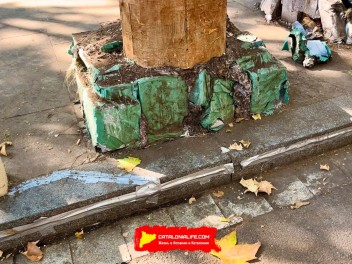 Пласа Ровира и Триас (Plaça Rovira i Trias) — «Хале Ровира» (Hale Rovira) — Феста Майор де Грасиа 2025 (Festa Major de Gràcia 2025)