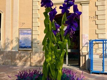 Пласа дель Норд (Plaça del Nord) — «Кемпинг Лаванда» (Camping Lavanda) — Феста Майор де Грасиа 2025 (Festa Major de Gràcia 2025)