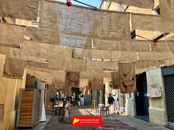 Пласета де Сант Микель (Placeta de Sant Miquel i Rodalies) — «Бестиарий Пласеты» (El bestiari de la Placeta) — Феста Майор де Грасиа 2025 (Festa Major de Gràcia 2025)