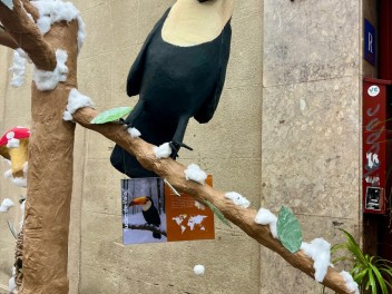 Улица Ла Перла (Carrer de la Perla) — «Перла против климатических изменений» (PerlaAnimaladaClimàtica) — Феста Майор де Грасиа 2025 (Festa Major de Gràcia 2025)