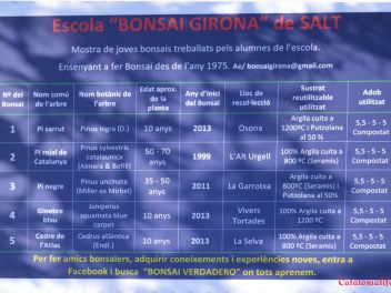 Ежегодный Конкурс Бонсай в Бланесе 2016 (Concurso y Exposicion de Bonsais a Blanes 2016)