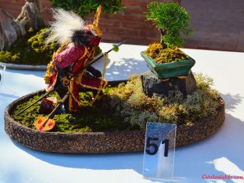 Ежегодный Конкурс Бонсай в Бланесе 2016 (Concurso y Exposicion de Bonsais a Blanes 2016)