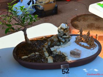 Ежегодный Конкурс Бонсай в Бланесе 2016 (Concurso y Exposicion de Bonsais a Blanes 2016)
