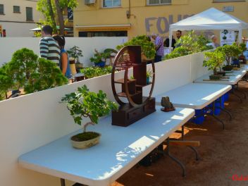 Ежегодный Конкурс Бонсай в Бланесе 2016 (Concurso y Exposicion de Bonsais a Blanes 2016)