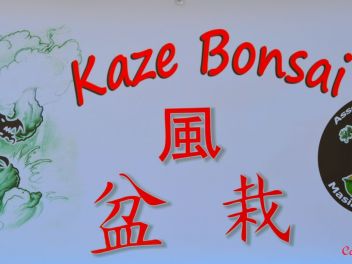 Ежегодный Конкурс Бонсай в Бланесе 2016 (Concurso y Exposicion de Bonsais a Blanes 2016)