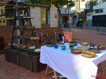 Ежегодный Конкурс Бонсай в Бланесе 2016 (Concurso y Exposicion de Bonsais a Blanes 2016)