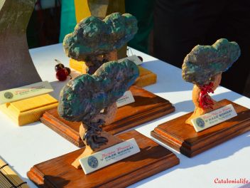 Ежегодный Конкурс Бонсай в Бланесе 2016 (Concurso y Exposicion de Bonsais a Blanes 2016)