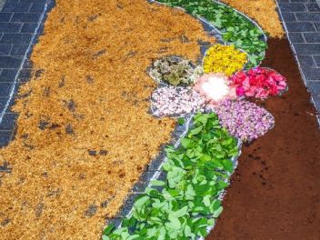 Ковры из цветов в Ллорет-де-Мар, Les Catifes de Flors del Corpus a Lloret de Mar
