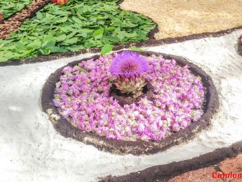 Ковры из цветов в Ллорет-де-Мар, Les Catifes de Flors del Corpus a Lloret de Mar