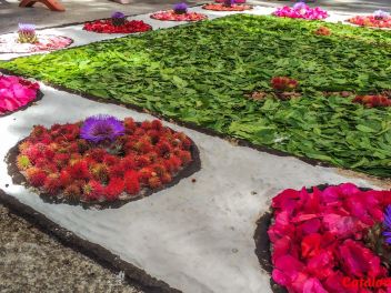 Ковры из цветов в Ллорет-де-Мар, Les Catifes de Flors del Corpus a Lloret de Mar