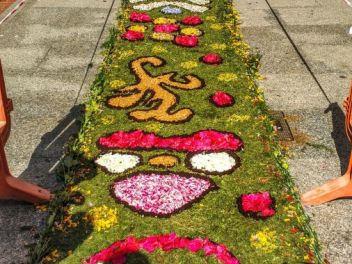 Ковры из цветов в Ллорет-де-Мар, Les Catifes de Flors del Corpus a Lloret de Mar