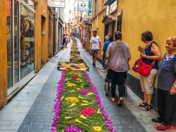 Ковры из цветов в Ллорет-де-Мар, Les Catifes de Flors del Corpus a Lloret de Mar